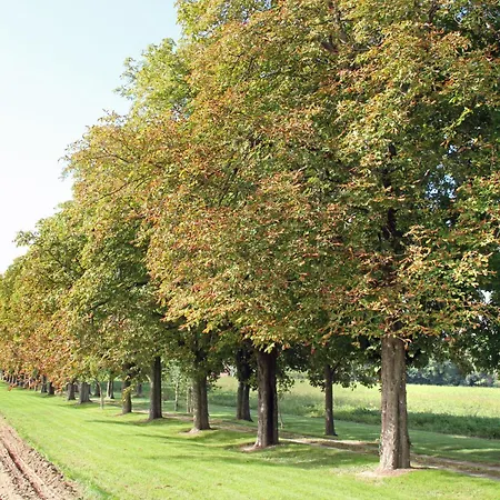 Domaine Des Marronniers *