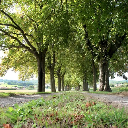 Domaine Des Marronniers 別荘 *