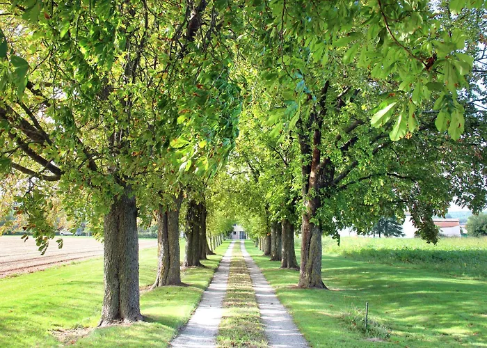 펜션 Domaine Des Marronniers