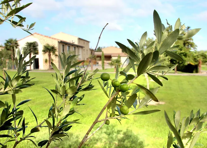 Domaine Des Marronniers *