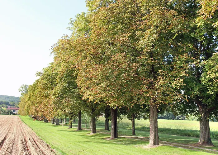 Domaine Des Marronniers *