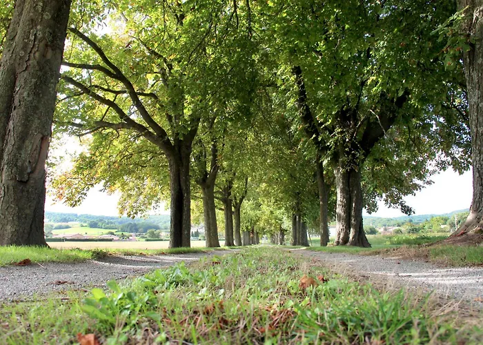 Domaine Des Marronniers 펜션 *